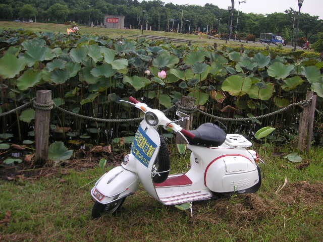 vespa  大會師 025.jpg