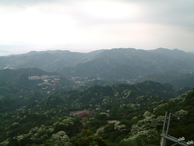 DSCF00066.jpg